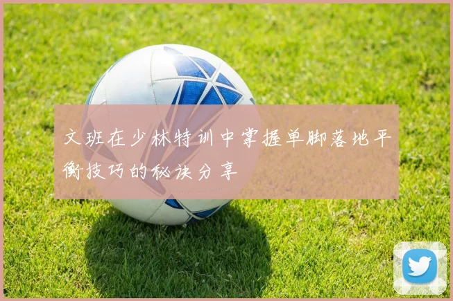 文班在少林特训中掌握单脚落地平衡技巧的秘诀分享