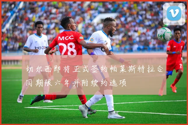 切尔西即将正式签约帕莱斯特拉合同期限六年并附续约选项